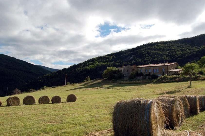 La Ferme De La Condamine Panzió Saint-André-de-Rosans Kültér fotó