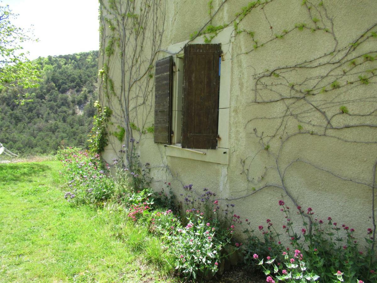 La Ferme De La Condamine Panzió Saint-André-de-Rosans Kültér fotó