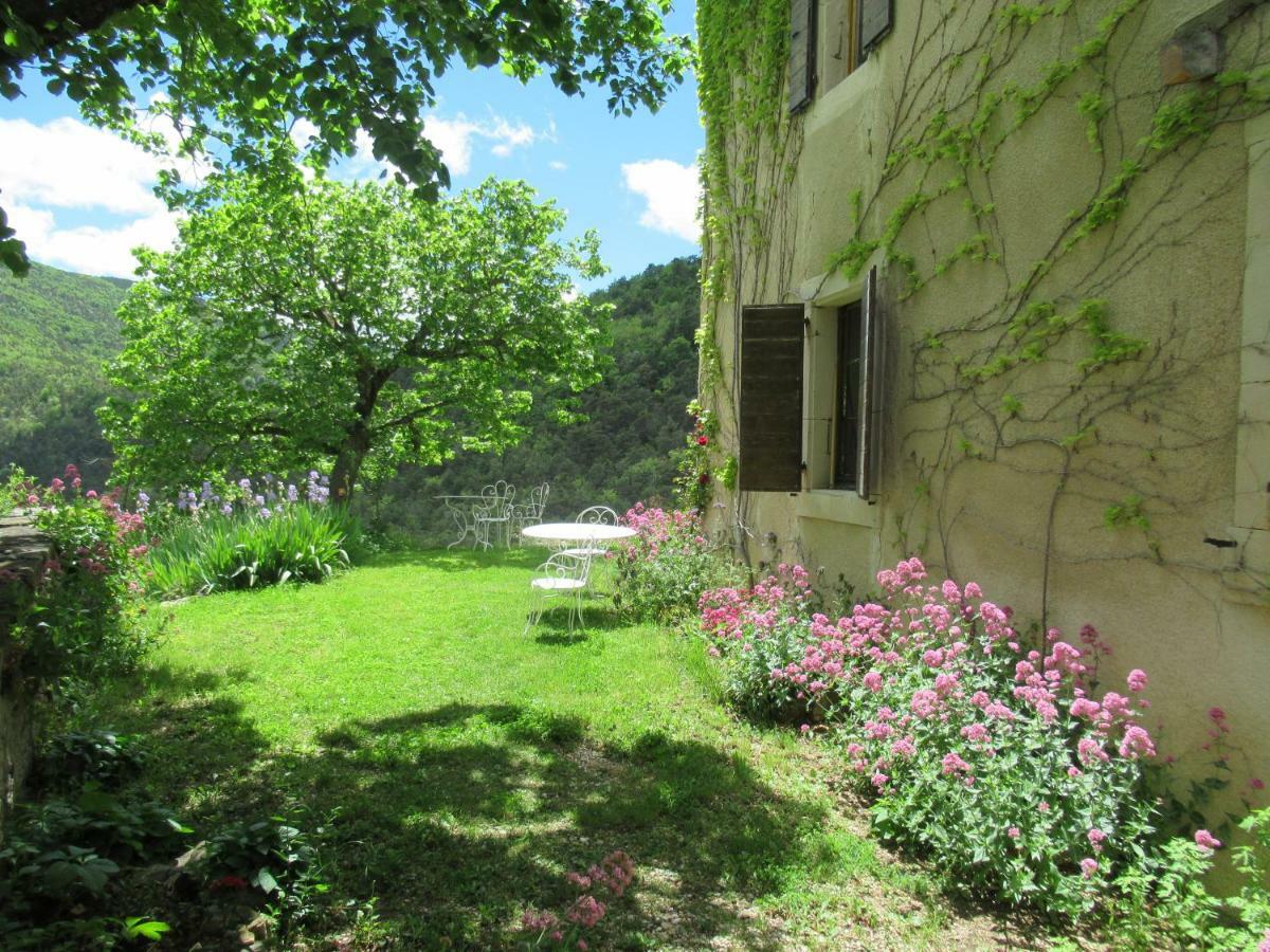 La Ferme De La Condamine Panzió Saint-André-de-Rosans Kültér fotó